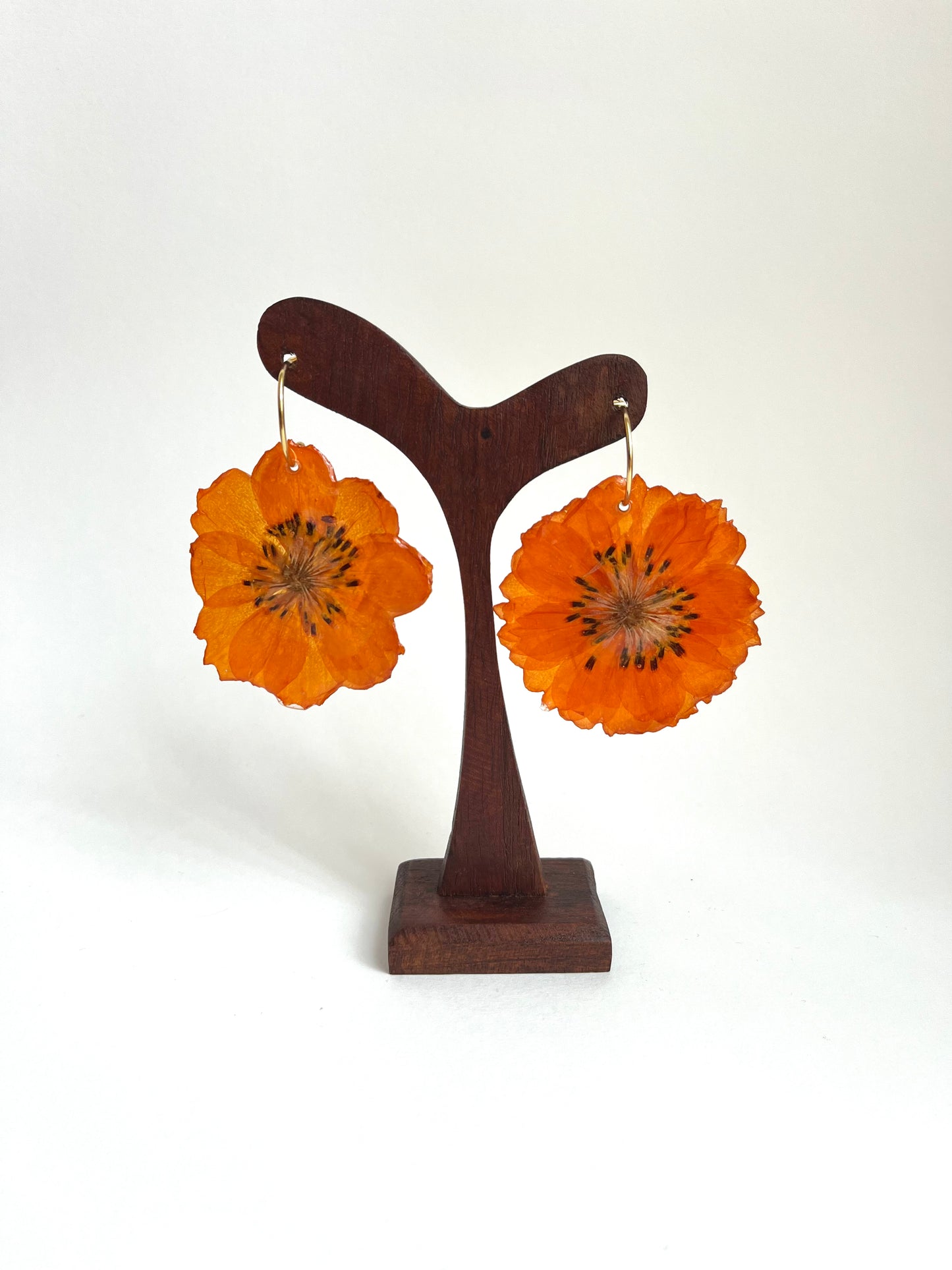 Cosmos naranja, pendientes