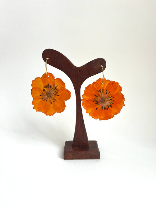 Cosmos naranja, pendientes