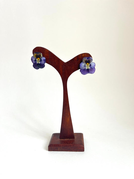 Pensamientos, pendientes.