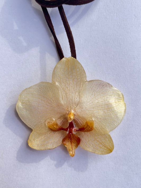Orquídea, collar.