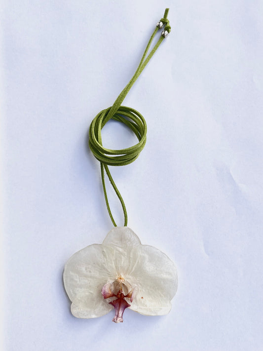 Orquídea, collar.