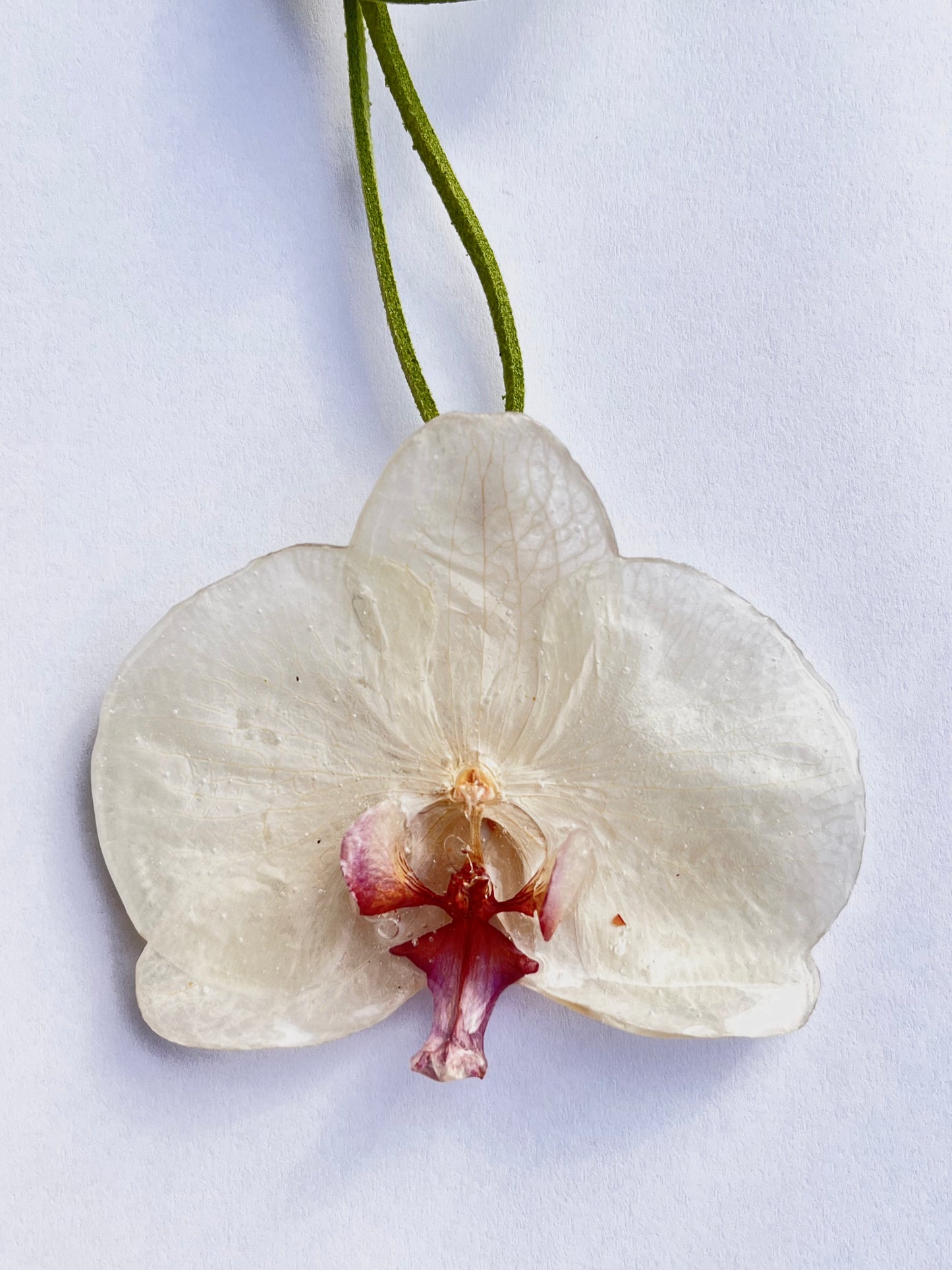 Orquídea, collar.